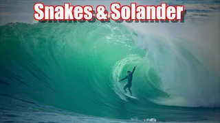 Snakes & Solander
