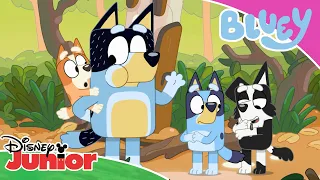 💙 La pârâu | Blue | Disney Junior România