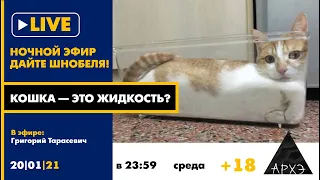 Ночной АРХЭфир "Кошка — это жидкость?" в рамках рубрики "Дайте Шнобеля! Кому и за что дают Ig Nobel"