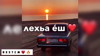 Тем Боцуш Къона Дог Деттало🔥🔥🥰