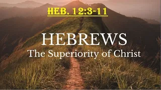 Hebrews 12:3-11