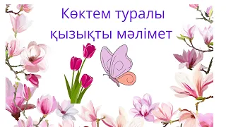 Көктем. Көктем туралы қызықты мәлімет.