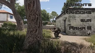 Moments Randoms sur Arma 3 #2