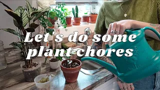 Plant Chores: repotting, watering, & propagating | Play this while you're taking care of your plants