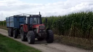 Kukurydza 2012 - Rozpoczęcie / Making of maize silage in Poland