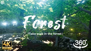 4K 360 VR- Virture Forest Walk 🎵 Relaxing Music, Meditation Music, Sleep, Study Music, Stress Relif