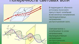 Поперечность световых волн