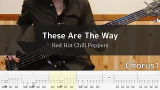 Red Hot Chili Peppers - These Are The Ways Bass Cover 弾いてみた TAB