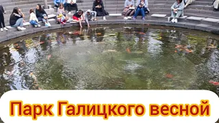 Парк Галицкого весной - Краснодар - Что нового