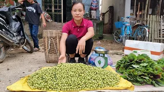 Harvest Forest Sour Fruit Goes to the market sell - Gardening - Ly Thi Tieng