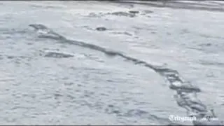 Iceland's 'Loch Ness' monster spotted?