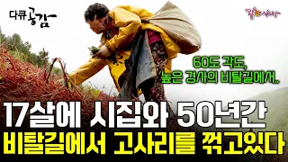 [다큐공감] 17에 26살 남편을 만나 50년간, 오래 서있기도 힘든 비탈길에서 여전히 고사리를 꺾고 있다. 산비탈에서 시작되는 어머니들의 고단한 봄🌷ㅣKBS 2018.05.26