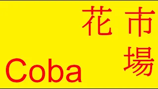 coba  花市場  (Hana Ichiba)