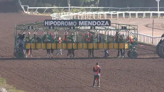 1º Carrera- Premio: “CATRINA” -275 Mts