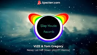 VIZE & Tom Gregory - Never Let Me Down (ALOTT Remix)