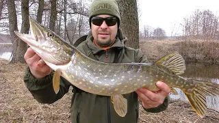 Вона Сама Клюнула. Відкрив Сезон. Риболовля на Спінінг 2024