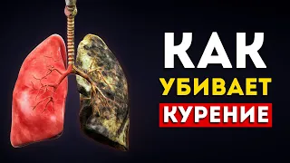 Вот что происходит с телом когда куришь (Впечатляет)