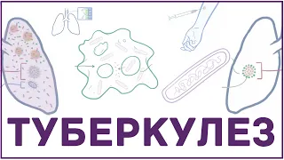 Туберкулез - микобактерия, симпмтомы, патофизиология, диагностика, лечение