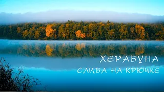 ХЕРАБУНА. «СЛИВУ» на крючок.. и рыбалке КОНЕЦ!?