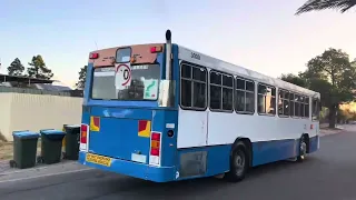 Preserved buses in Adelaide