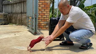 So sweet ! Monkey Luk meets dad again after many days separation