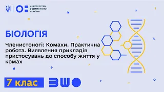 7 клас. Біологія. Членистоногі: Комахи. Виявлення прикладів пристосувань до способу життя у комах Ч1