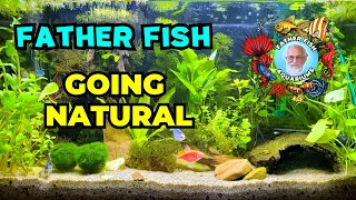 Why Natural Aquariums Are Essential