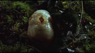 Slither 2006 trailer