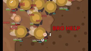 Florr.io - Normal day in termite