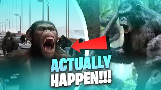 Reasons why Planet of the Apes Could Actually Happen