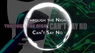 [Mashup] S3RL, Tatsunoshin x JJD - Through the Night x Can't Say No