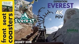 Expedition Everest 4K POV FULL RIDE Animal Kingdom 2018 Roller Coaster Front Seat Disney World