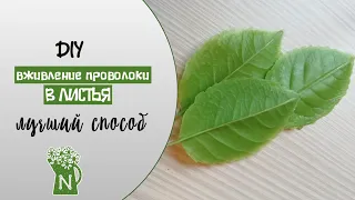 БЕДА С ЛИСТЬЯМИ? ДЕЛАЙ КАК Я! Проволоки не видно! Холодный фарфор. Полимерная глина. ใบดินโพลิเมอร์