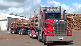 Will Bishop Trucks NZ, McCarthy Kenworth T659