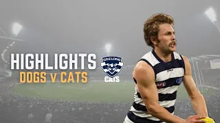 Geelong Cats Highlights v Western Bulldogs | Round 12 2022