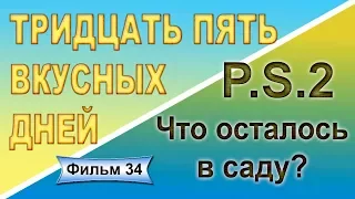 Что осталось в саду в августе Фильм 34