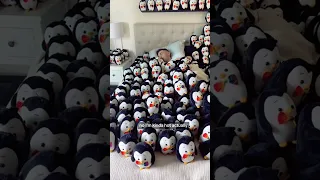 Waking up my husband with 200 baby penguins #shorts