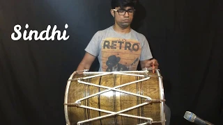 DHOL SOLO | ALL INDIAN BEATS | JANNY DHOLI