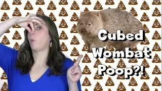 CUBED WOMBAT POOP?! - WEIRD SCIENCE