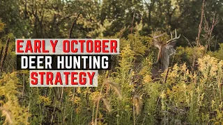 Early October Deer Hunting Strategies