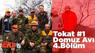 Tokat Domuz Avı 1 Ekip İşi 4.Bölüm Yaban Tv Wild Boar Hunting