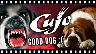 CUJO: Exploring Stephen King's Forgotten Nightmare