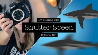 CHOOSING THE RIGHT SHUTTER SPEED FOR UNDERWATER FILMING!