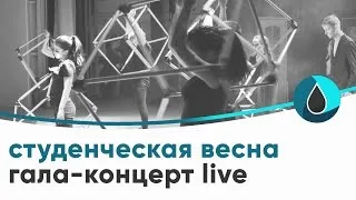 Гала-концерт Межфакультетского фестиваля «Студенческая весна»