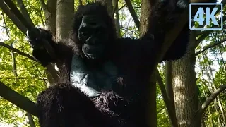 "Clever girl" Scene | Bigfoot (2017) Movie Clip HD