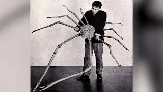 The Biggest Living Arthropod