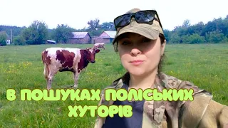 В пошуках поліських хуторів