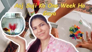 Aaj Suzi Ko One Week Ho Gaya|| Aaj Suzi Bahut Dar Gyi ||Fish Bowl Water Changing||UnityCreation