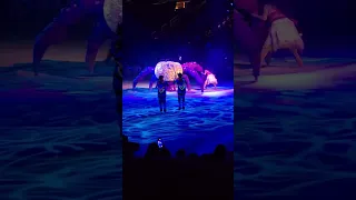 Moana- Shiny Disney on Ice 12.28.2022