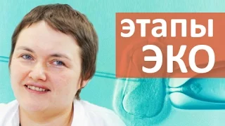 Этапы ЭКО. 💉 Что такое эмбриологический этап ЭКО? Мать и Дитя Юго-Запад